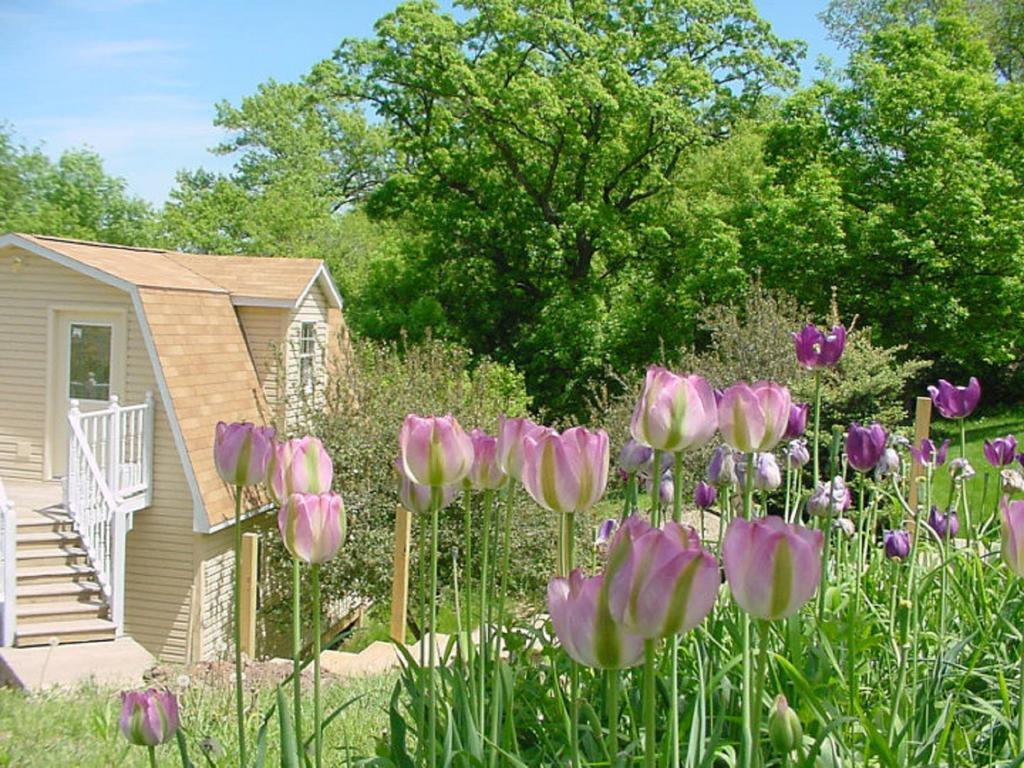 Вілла Trickling Waters Retreat Marquette Екстер'єр фото